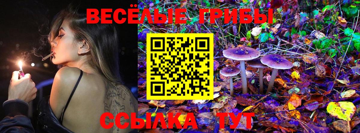 Псилоцибиновые грибы Magic Shrooms Белово
